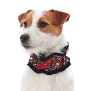 Fox & Hounds Holiday Tartan Plaid Scrunchie Dog Collar with Bells